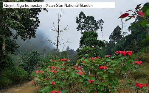 Vệ sinh Quynh Nga homestay - Xuan Son National Garden