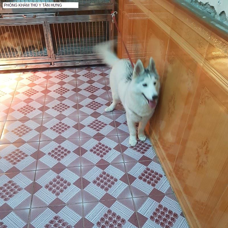PHÒNG KHÁM THÚ Y TÂN HƯNG