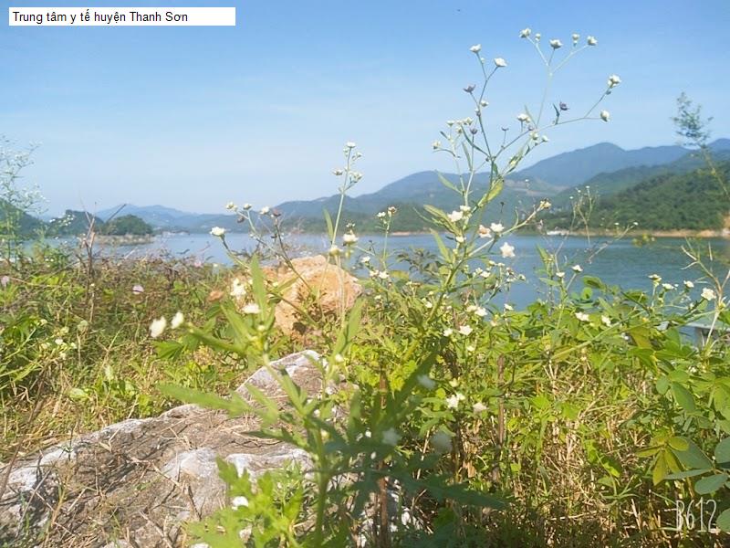 Trung tâm y tế huyện Thanh Sơn