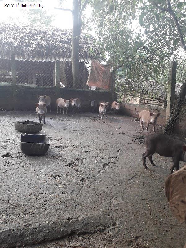 Sở Y Tế tỉnh Phú Thọ