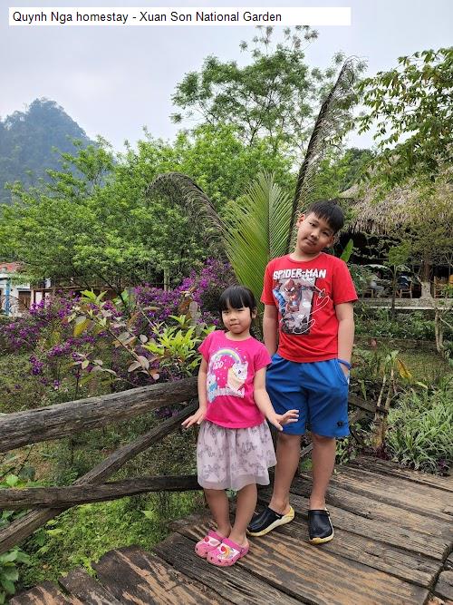Cảnh quan Quynh Nga homestay - Xuan Son National Garden