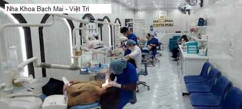 Nha Khoa Bạch Mai - Việt Trì